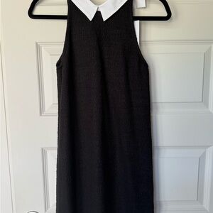 Zara Black and White Collar Mini Dress